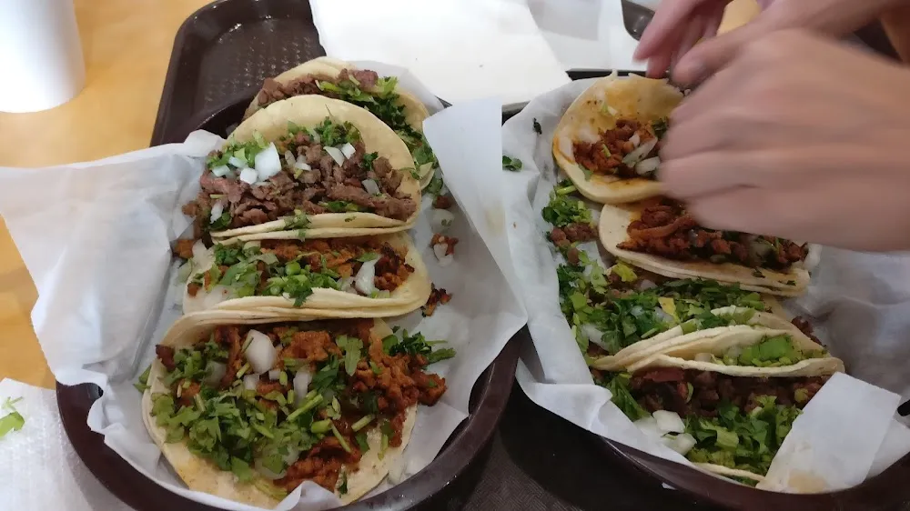 Asada Pastor and Carnitas